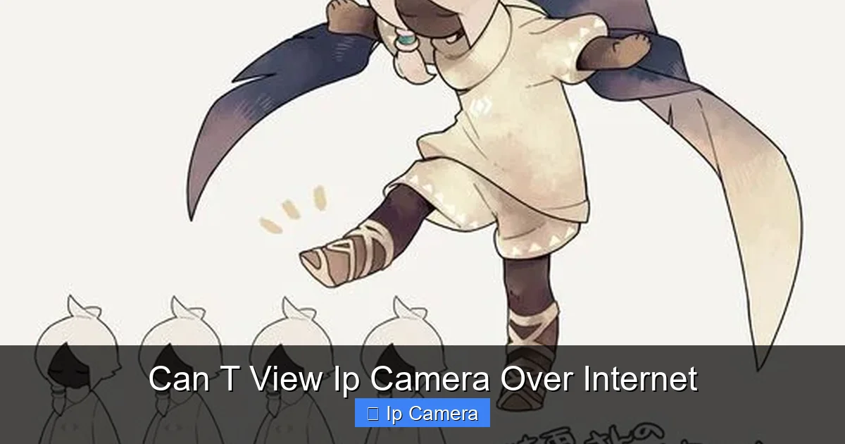 Can T View Ip Camera Over Internet