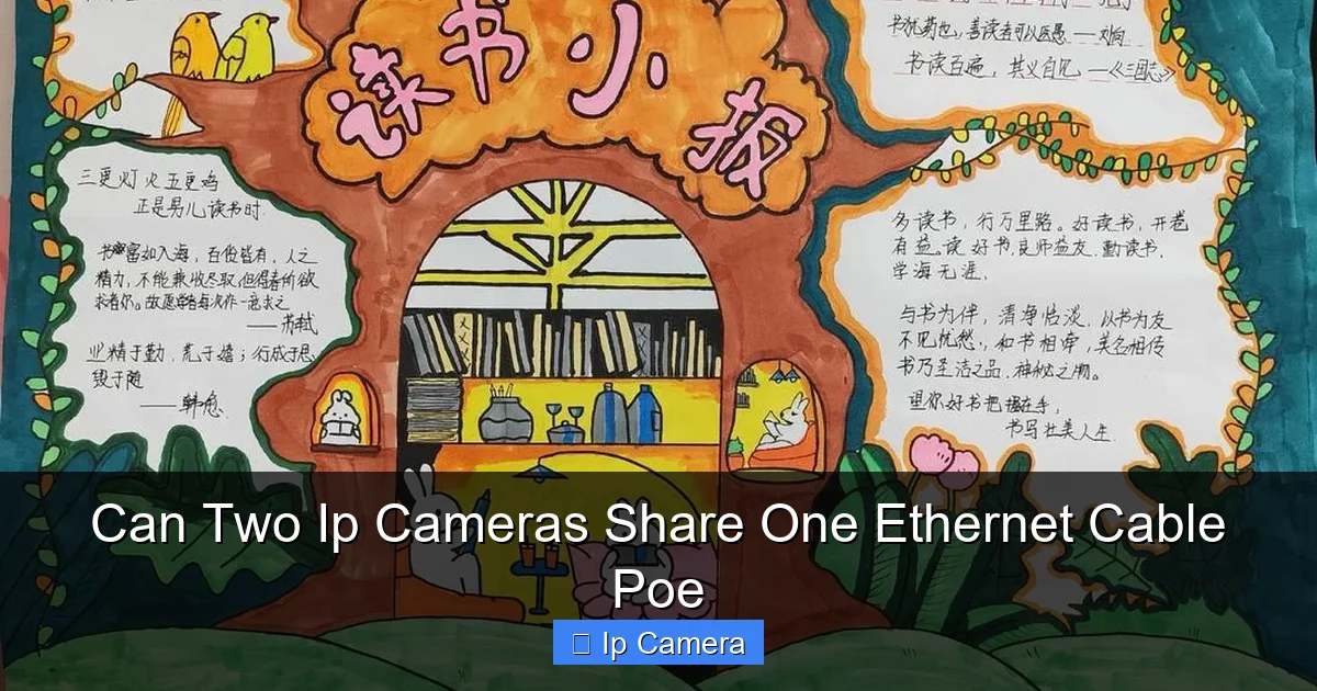 Can Two Ip Cameras Share One Ethernet Cable Poe