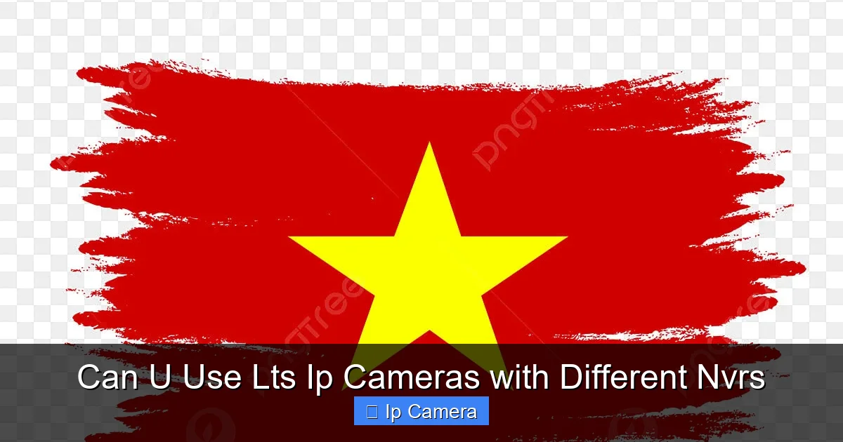 Can U Use Lts Ip Cameras with Different Nvrs