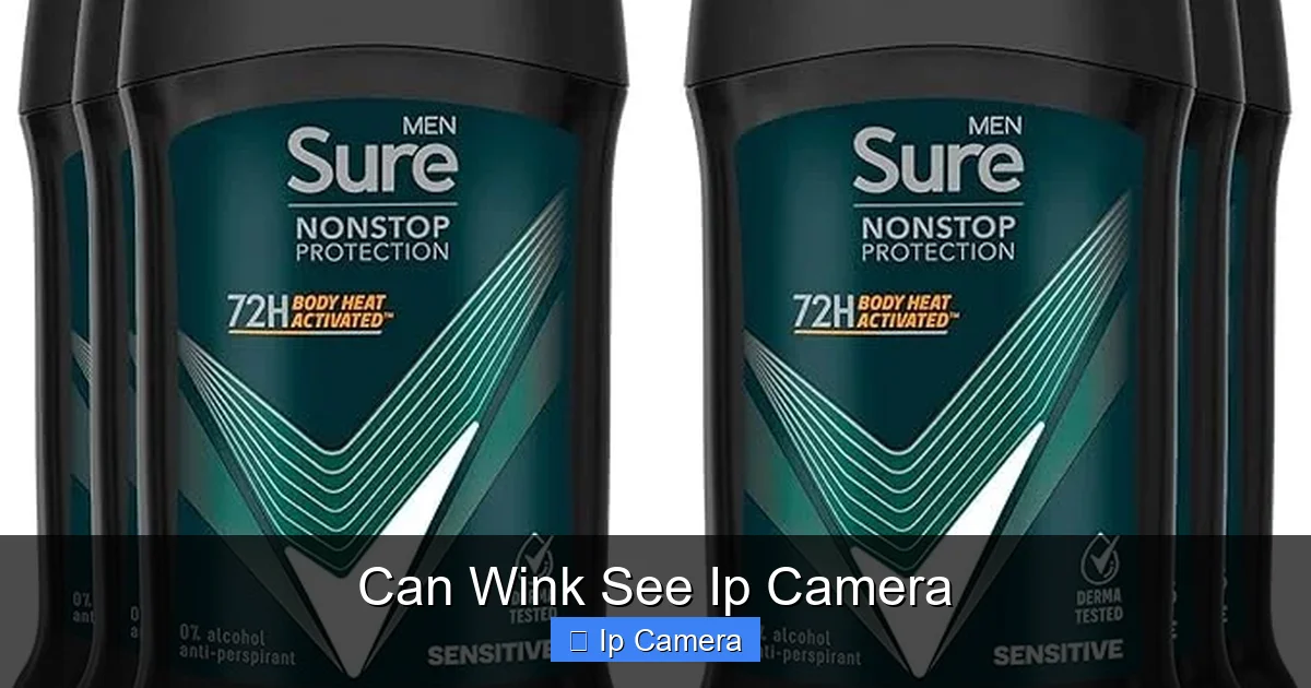 Can Wink See Ip Camera