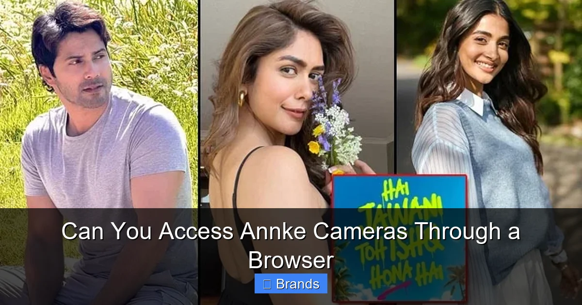 Can You Access Annke Cameras Through a Browser