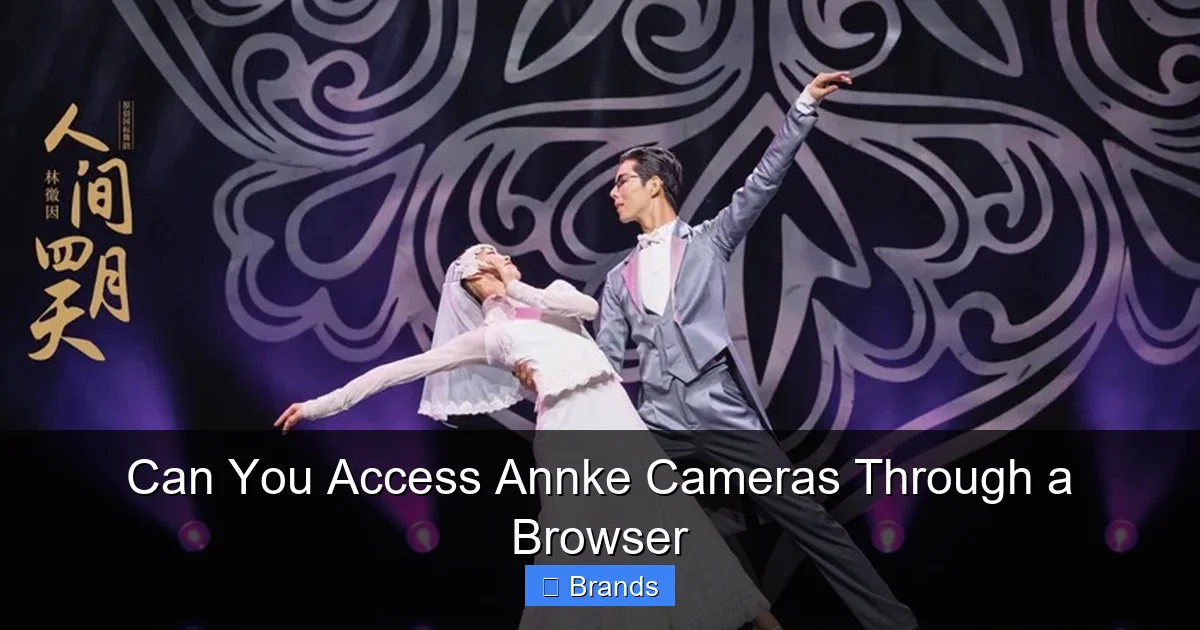 Can You Access Annke Cameras Through a Browser