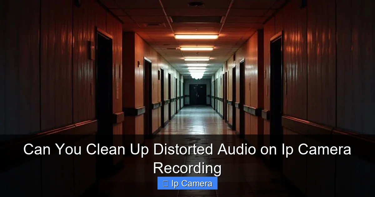 Can You Clean Up Distorted Audio on Ip Camera Recording