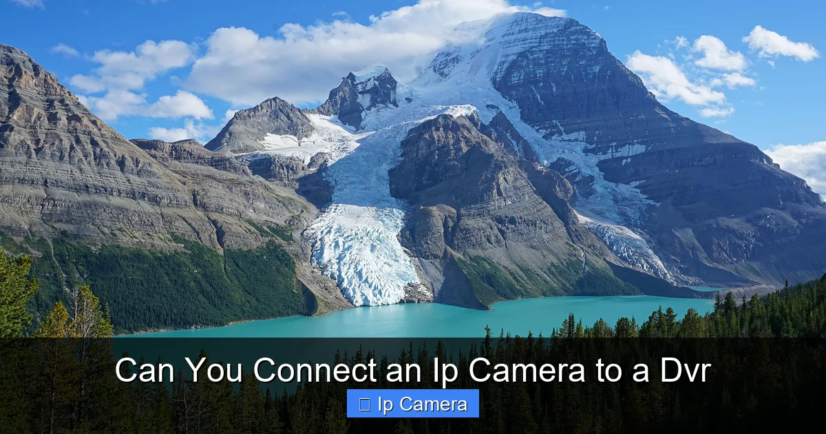Can You Connect an Ip Camera to a Dvr