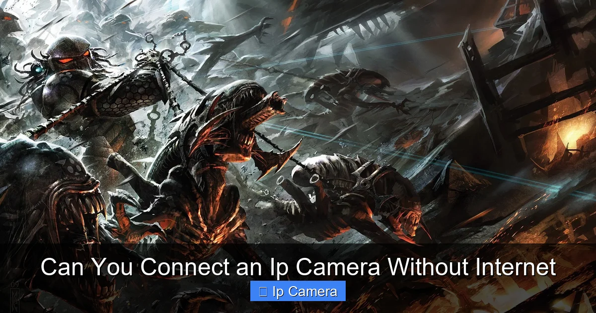 Can You Connect an Ip Camera Without Internet