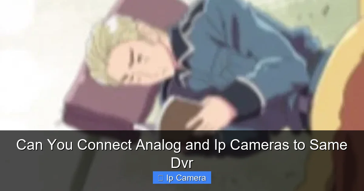 Can You Connect Analog and Ip Cameras to Same Dvr