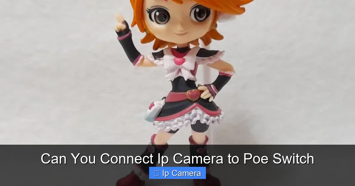 Can You Connect Ip Camera to Poe Switch