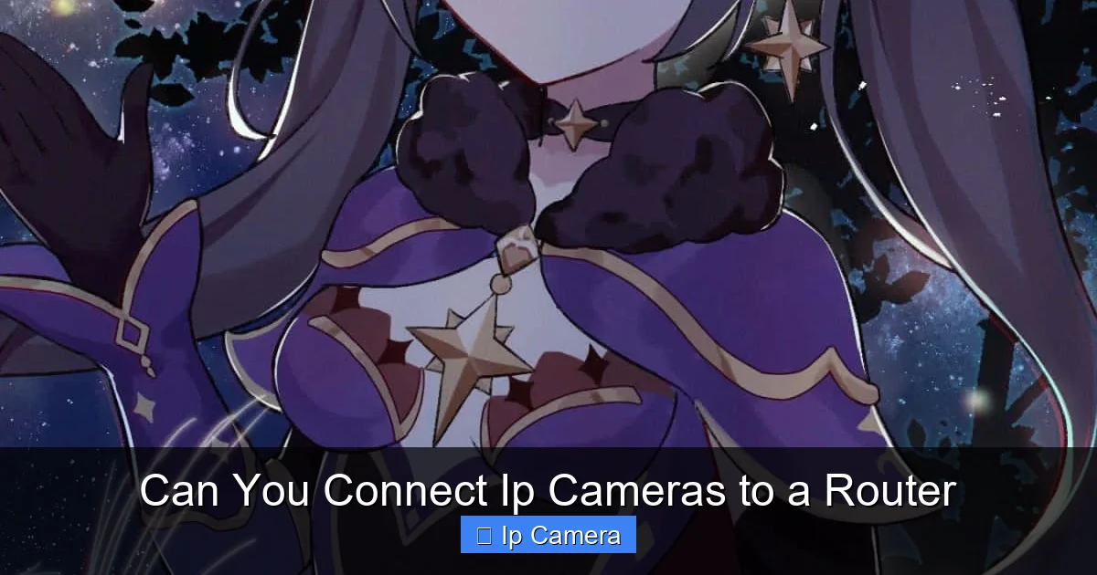 Can You Connect Ip Cameras to a Router
