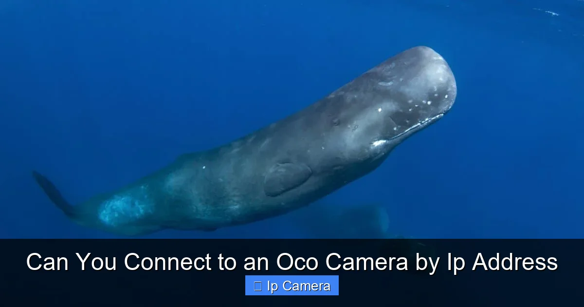 Can You Connect to an Oco Camera by Ip Address