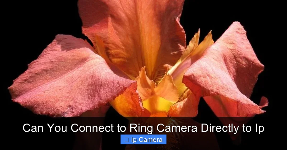 Can You Connect to Ring Camera Directly to Ip