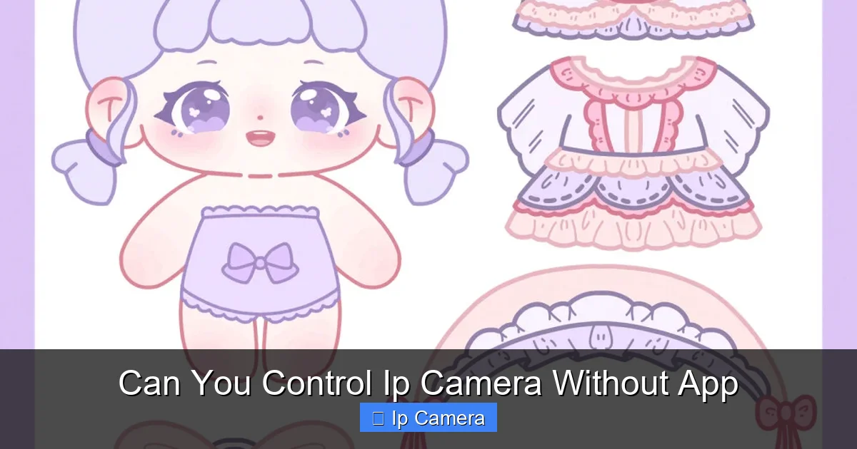 Can You Control Ip Camera Without App