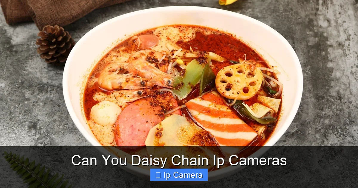 Can You Daisy Chain Ip Cameras