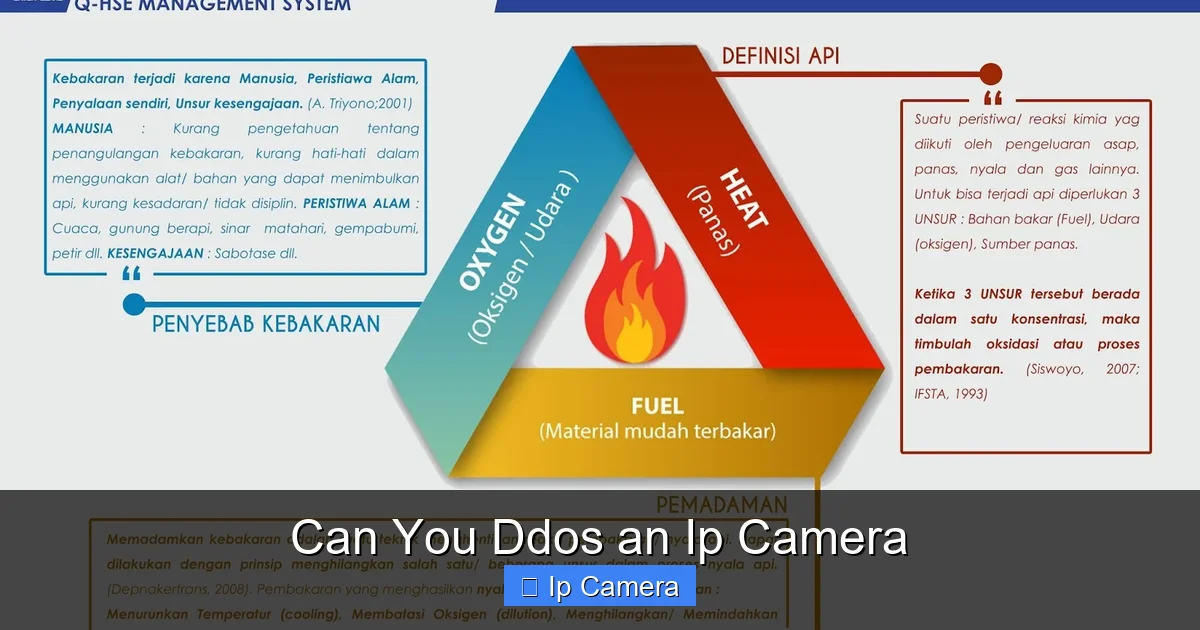 Can You Ddos an Ip Camera