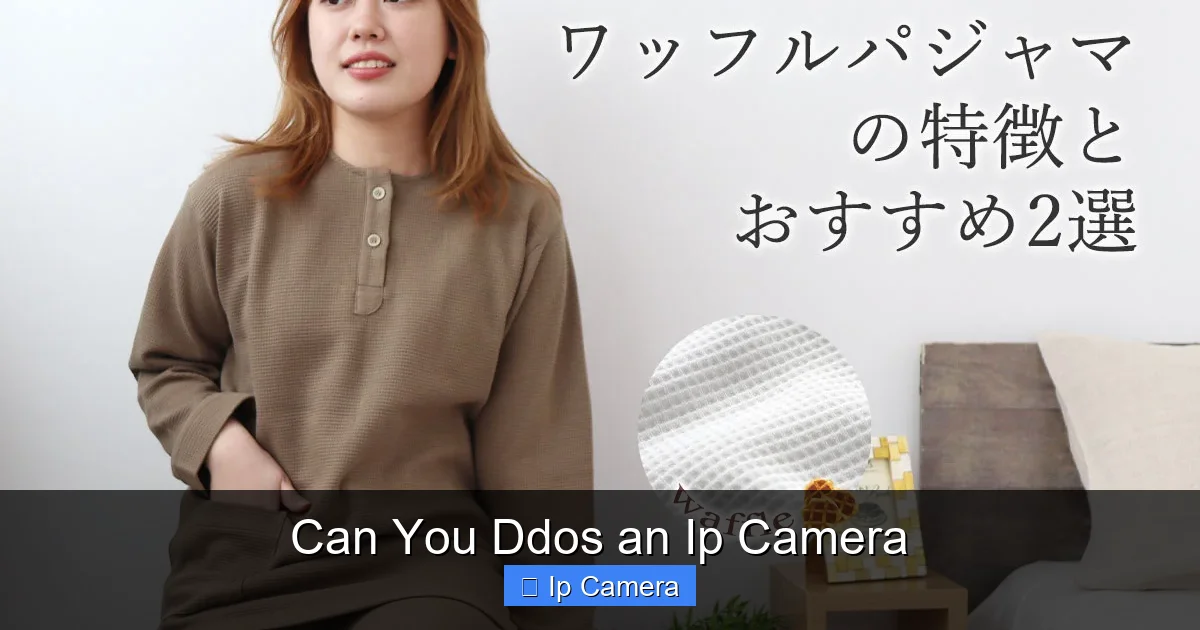 Can You Ddos an Ip Camera