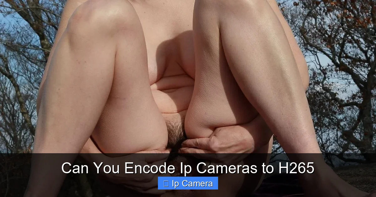 Can You Encode Ip Cameras to H265