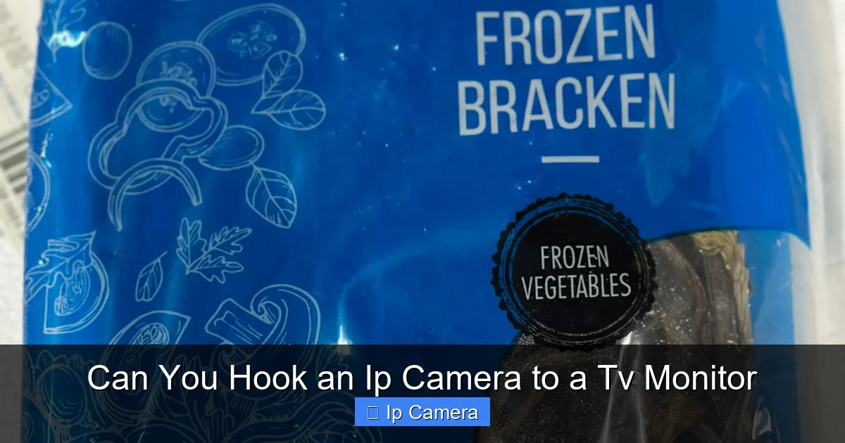 Can You Hook an Ip Camera to a Tv Monitor