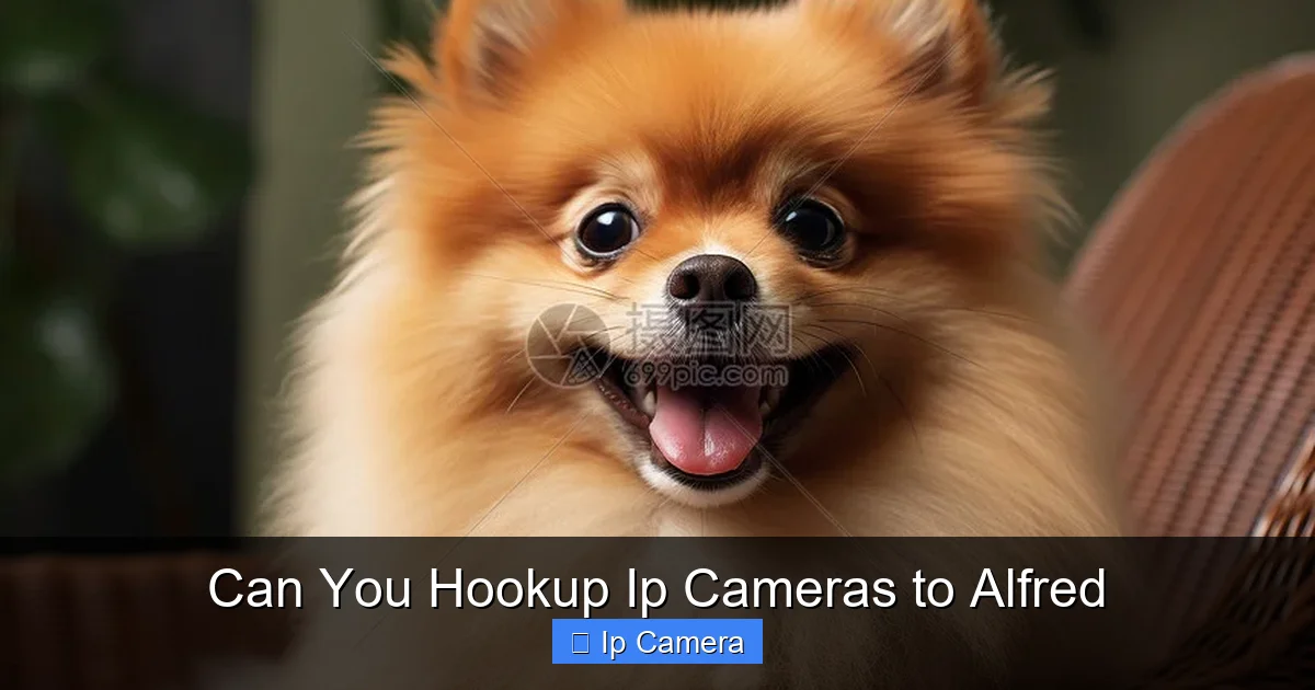 Can You Hookup Ip Cameras to Alfred