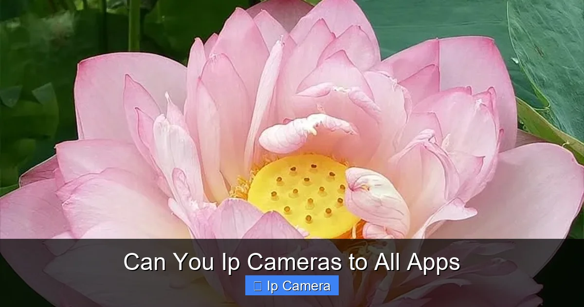 Can You Ip Cameras to All Apps