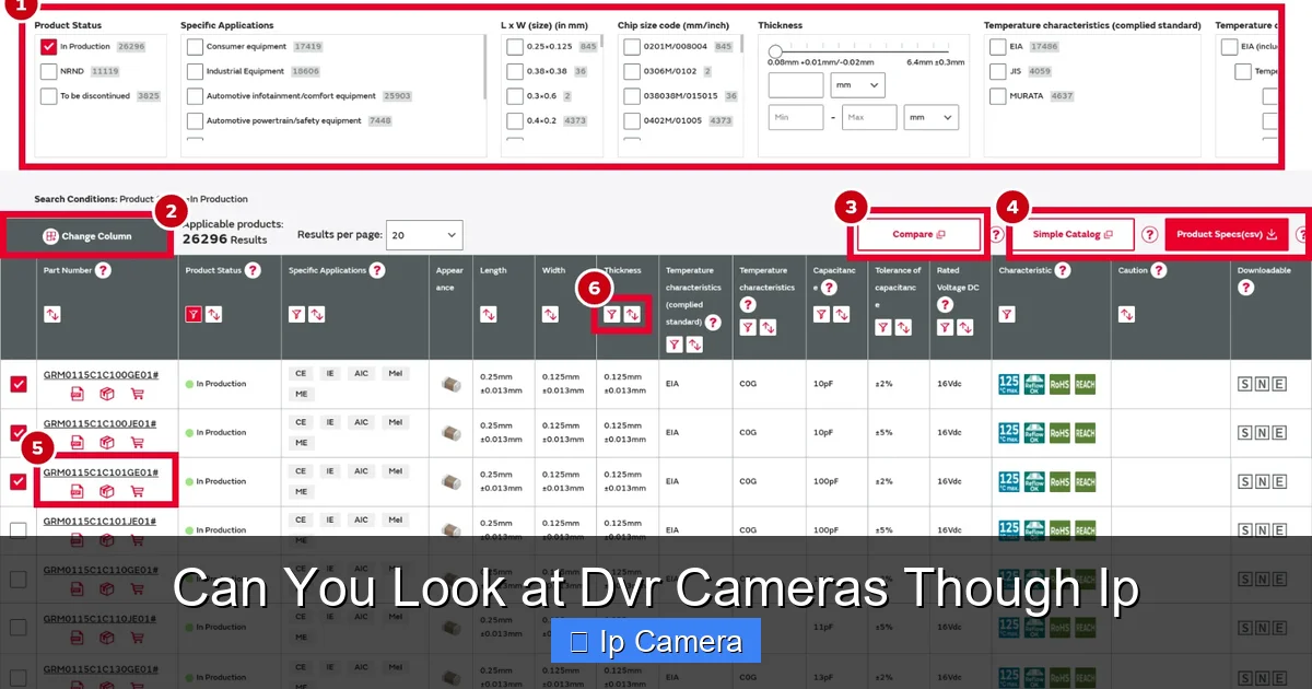 Can You Look at Dvr Cameras Though Ip