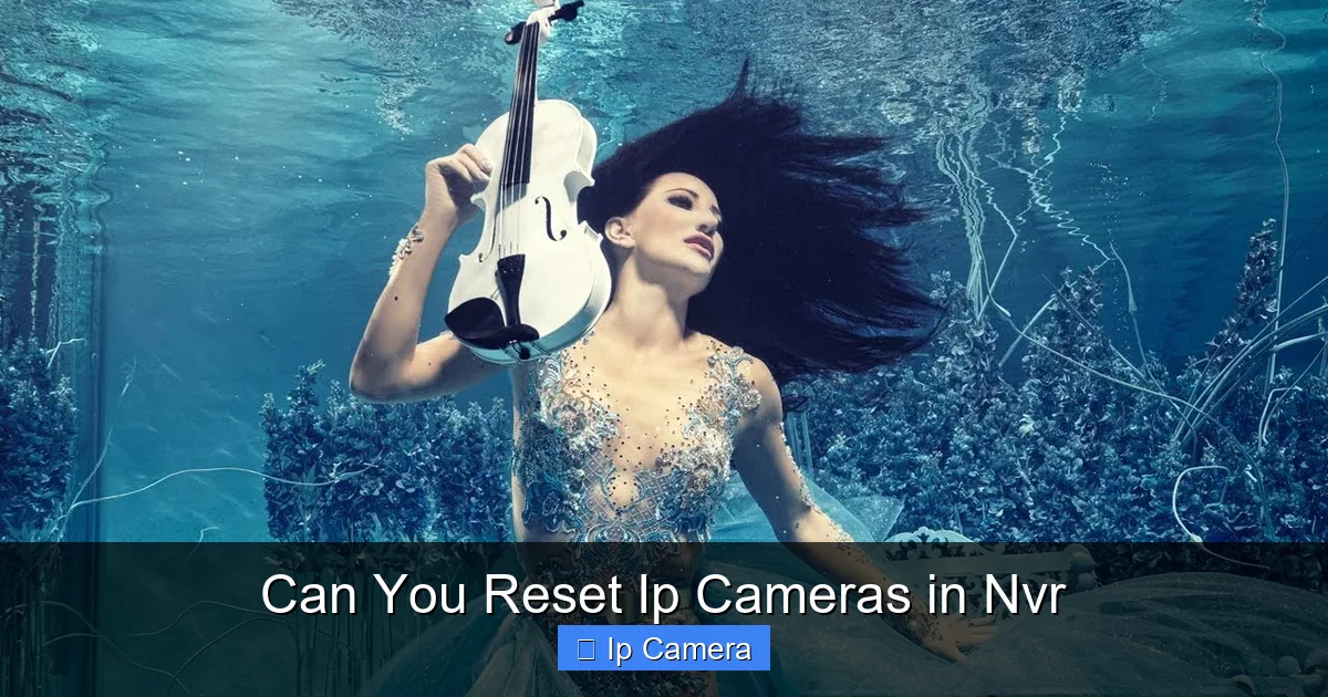 Can You Reset Ip Cameras in Nvr
