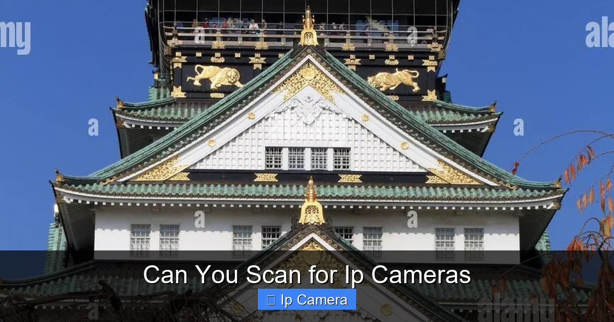 Can You Scan for Ip Cameras