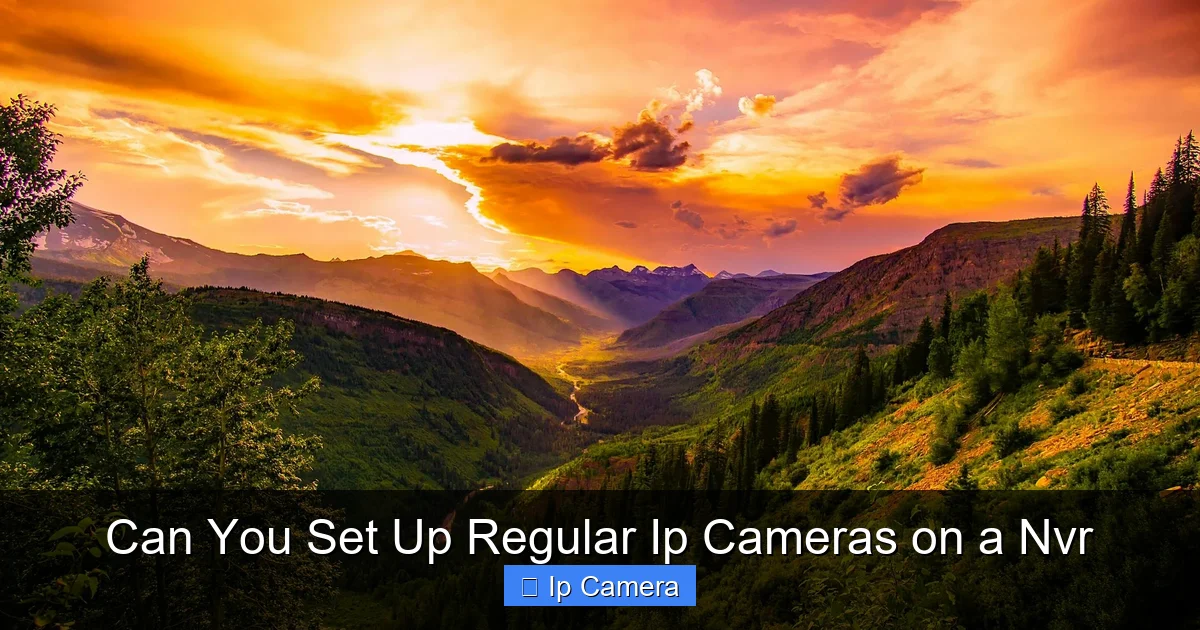 Can You Set Up Regular Ip Cameras on a Nvr
