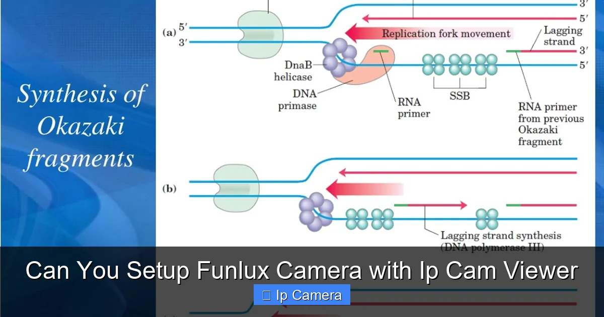Can You Setup Funlux Camera with Ip Cam Viewer