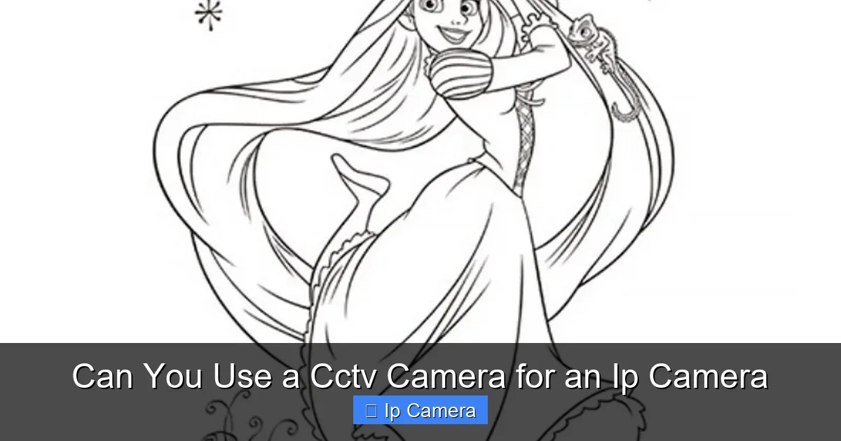 Can You Use a Cctv Camera for an Ip Camera