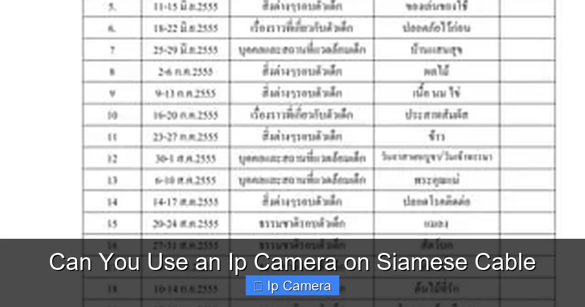 Can You Use an Ip Camera on Siamese Cable