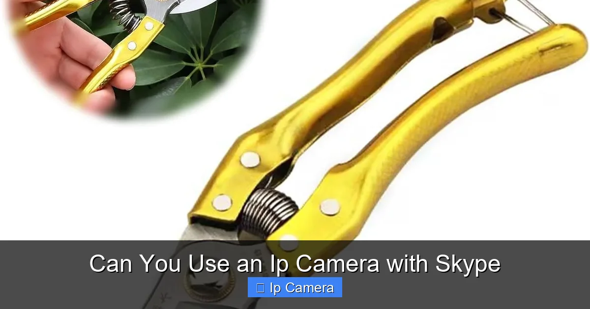 Can You Use an Ip Camera with Skype