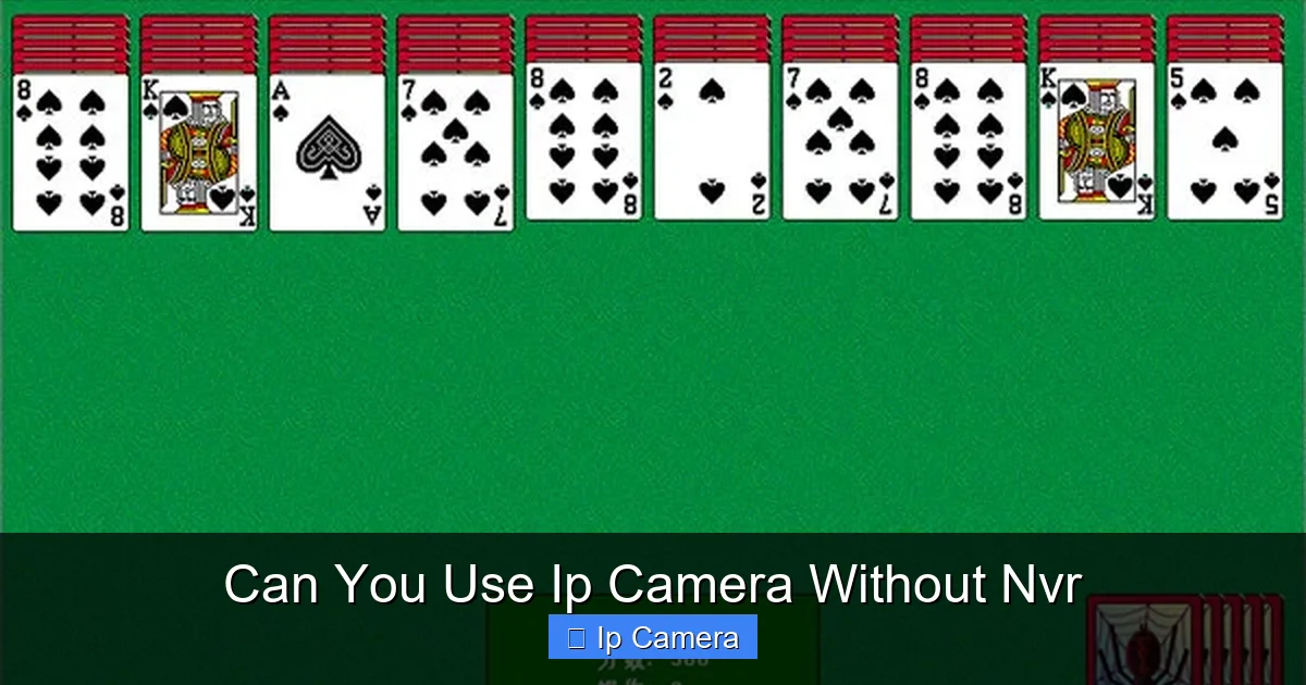 Can You Use Ip Camera Without Nvr
