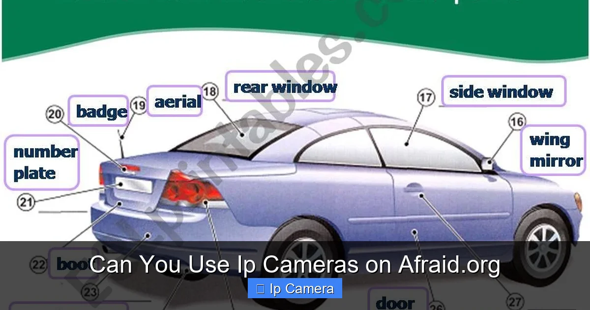 Can You Use Ip Cameras on Afraid.org