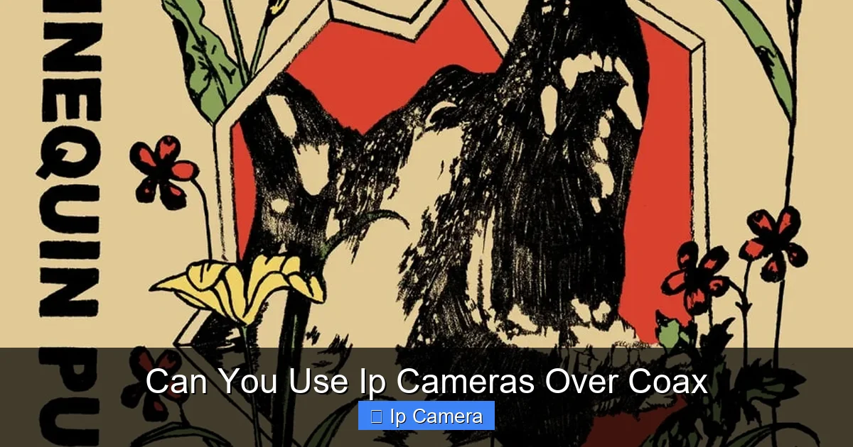 Can You Use Ip Cameras Over Coax