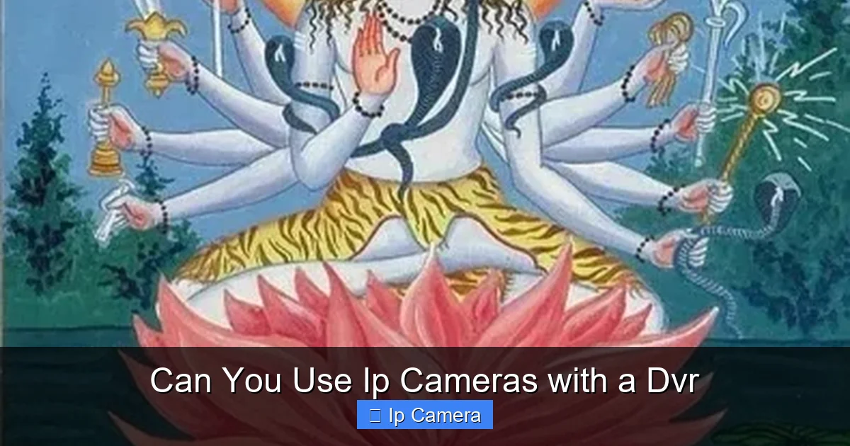 Can You Use Ip Cameras with a Dvr