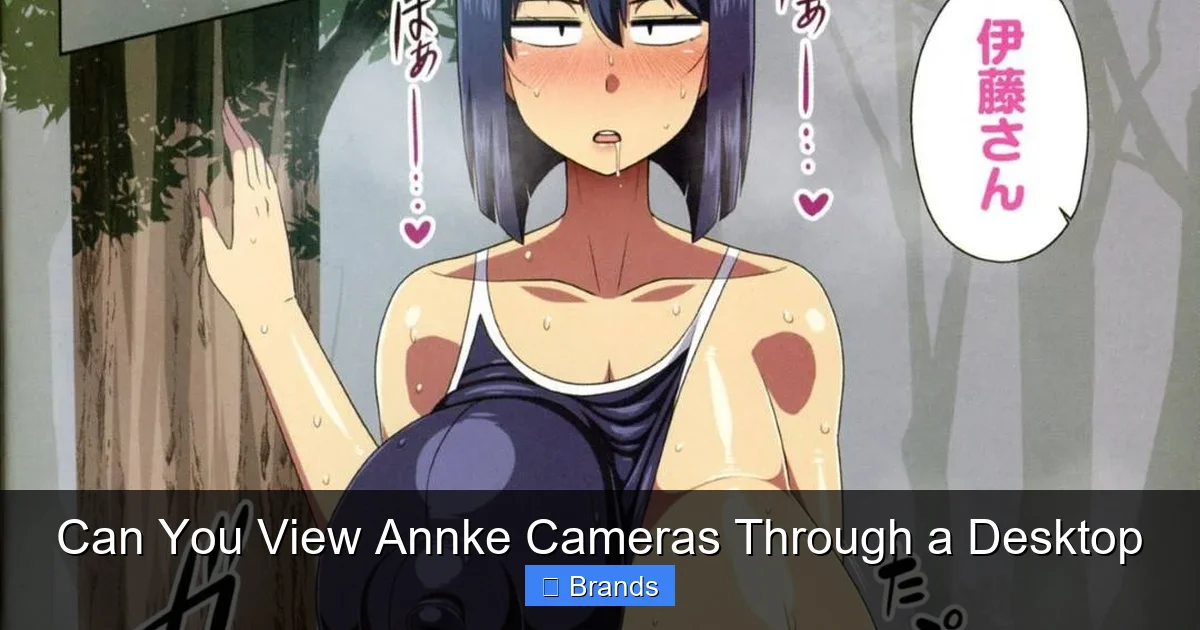 Can You View Annke Cameras Through a Desktop