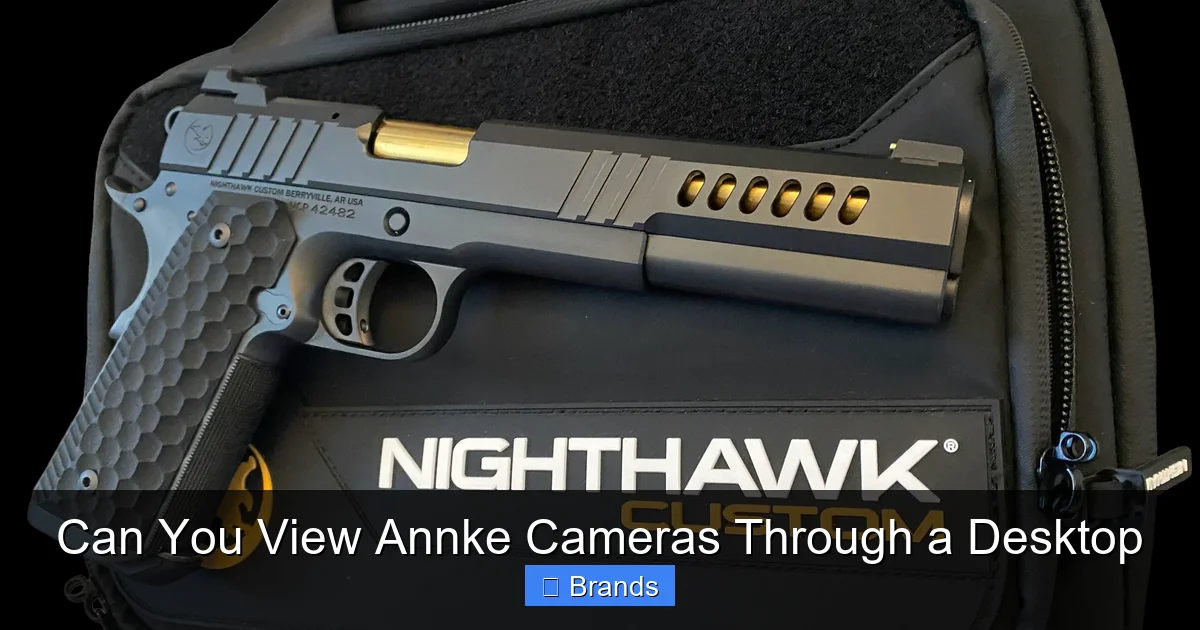 Can You View Annke Cameras Through a Desktop