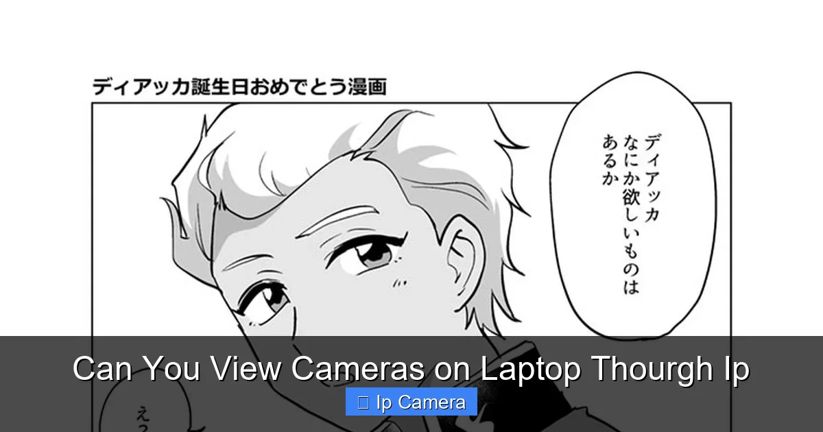 Can You View Cameras on Laptop Thourgh Ip