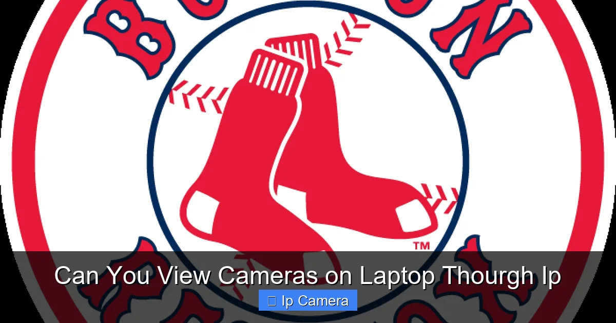 Can You View Cameras on Laptop Thourgh Ip