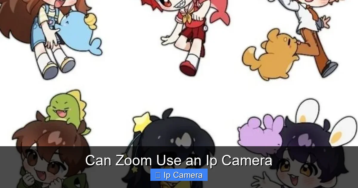 Can Zoom Use an Ip Camera