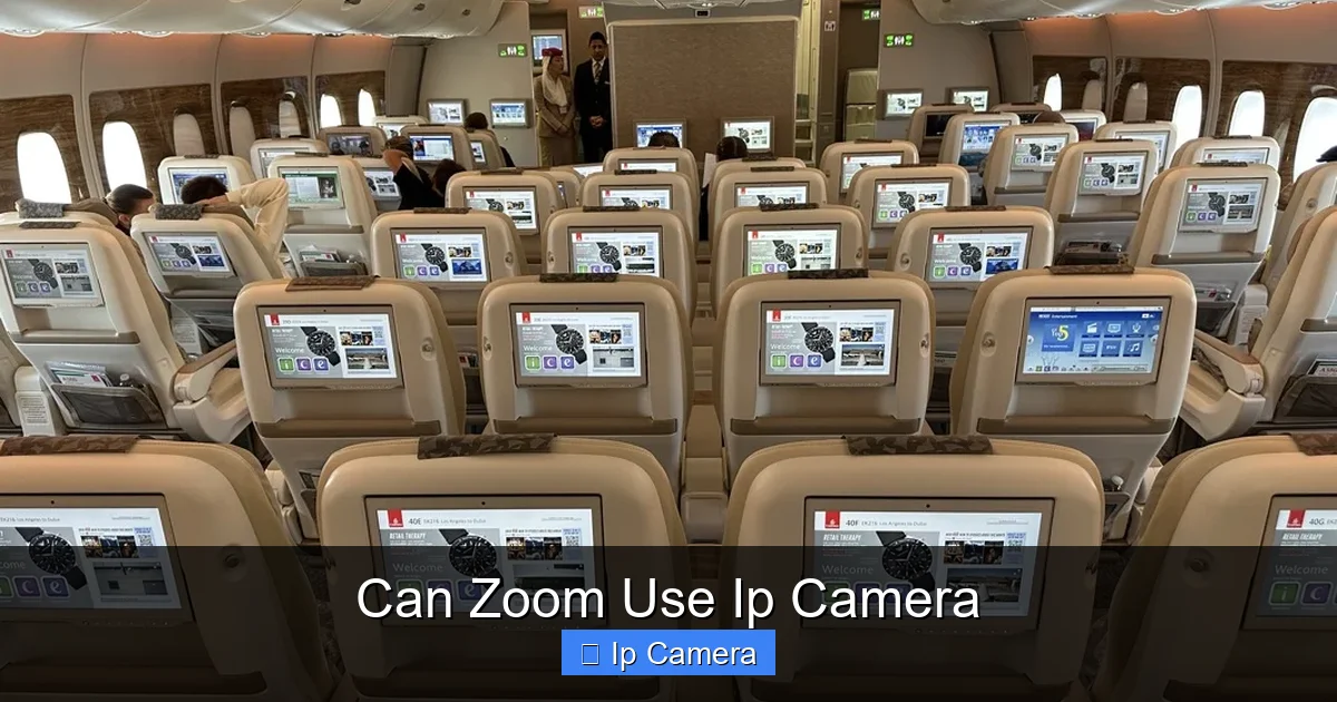 Can Zoom Use Ip Camera