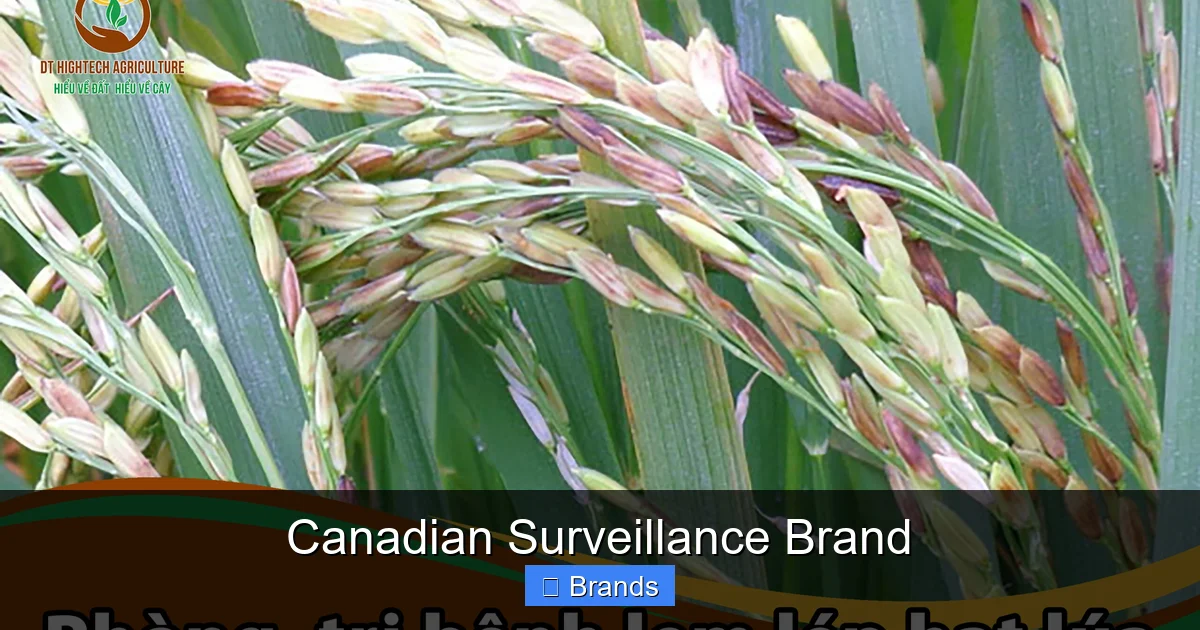 Canadian Surveillance Brand