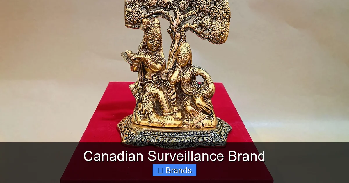 Canadian Surveillance Brand