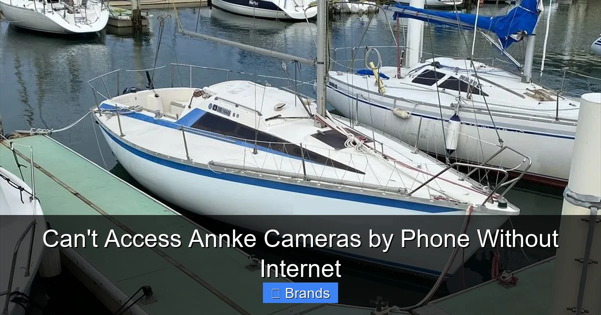 Can't Access Annke Cameras by Phone Without Internet