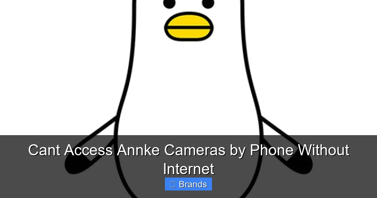 Cant Access Annke Cameras by Phone Without Internet