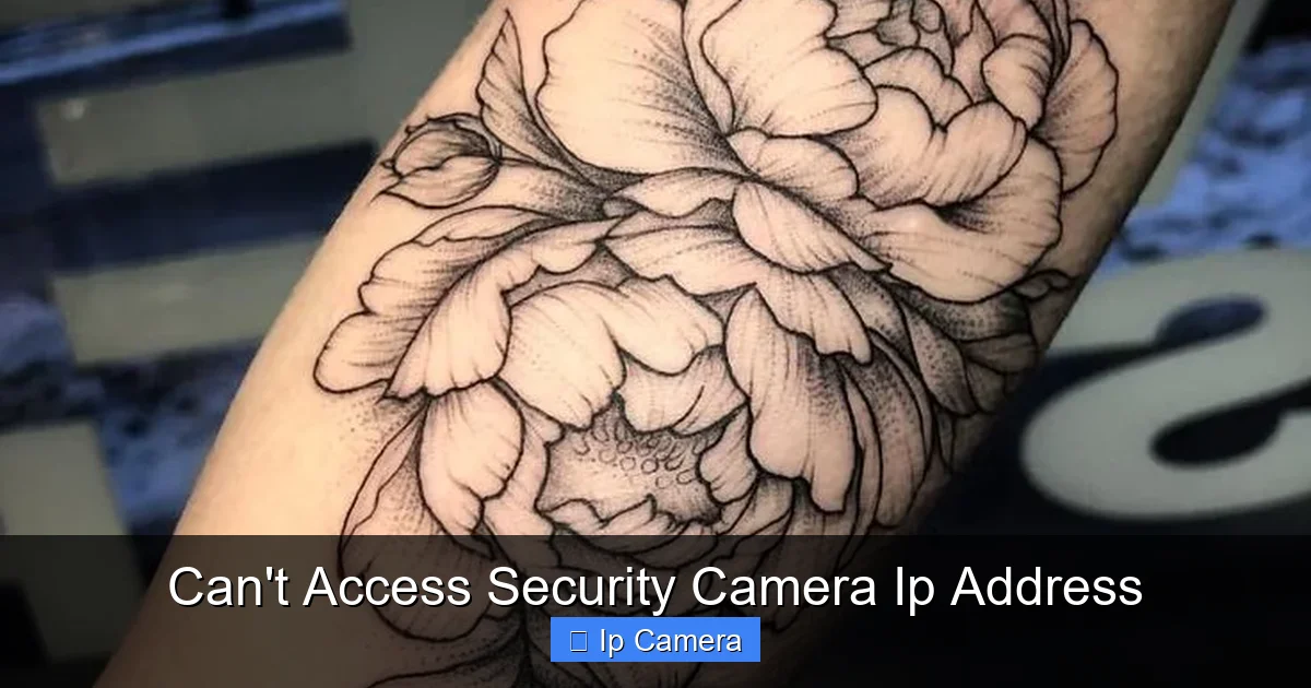 Can't Access Security Camera Ip Address