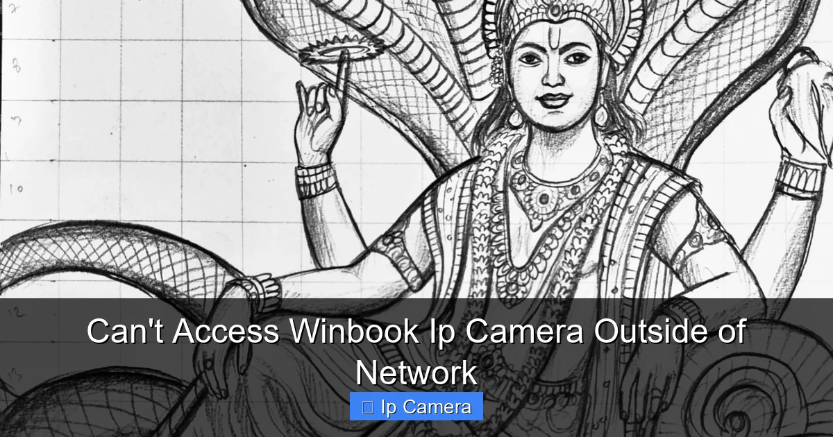 Can't Access Winbook Ip Camera Outside of Network