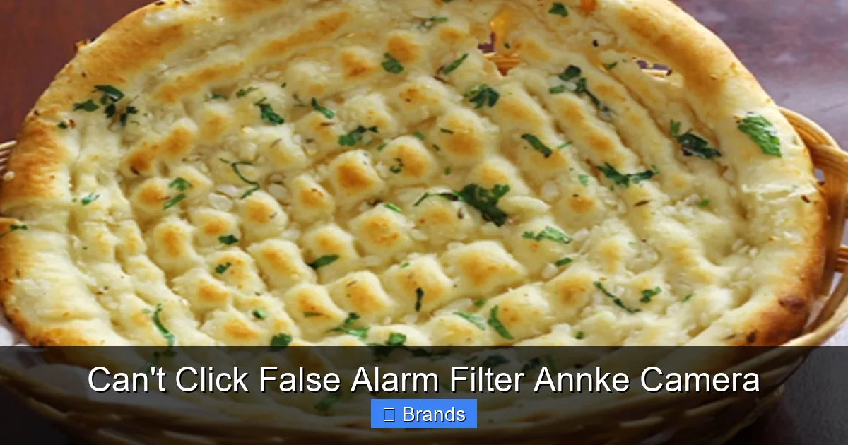 Can't Click False Alarm Filter Annke Camera
