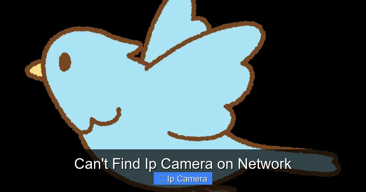 Can't Find Ip Camera on Network