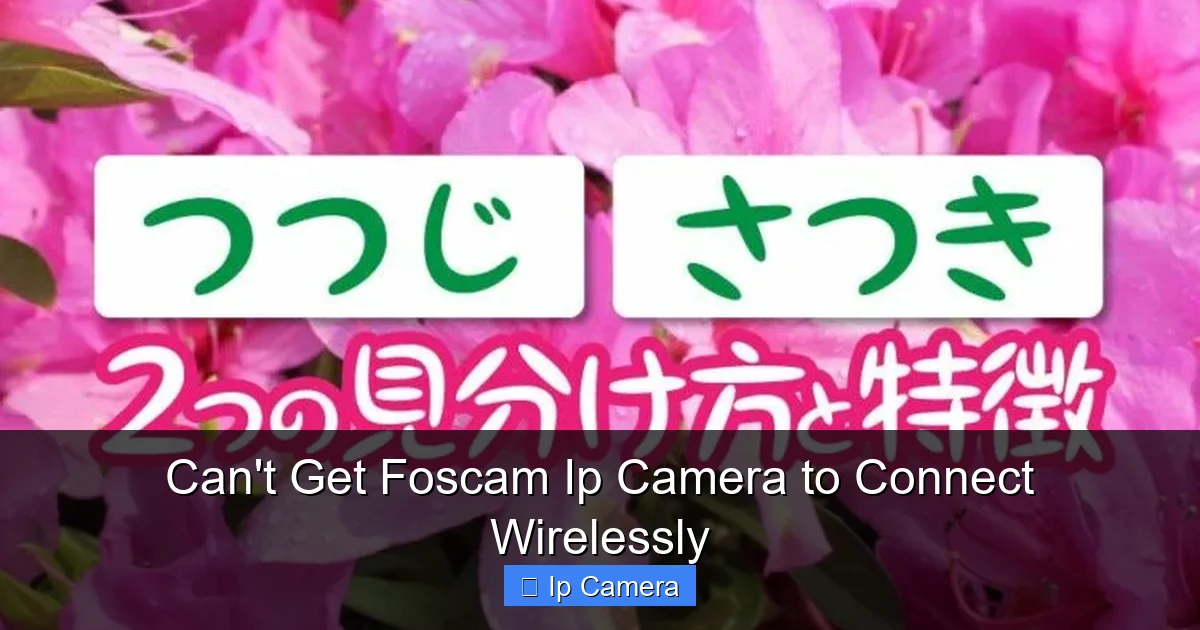 Can't Get Foscam Ip Camera to Connect Wirelessly