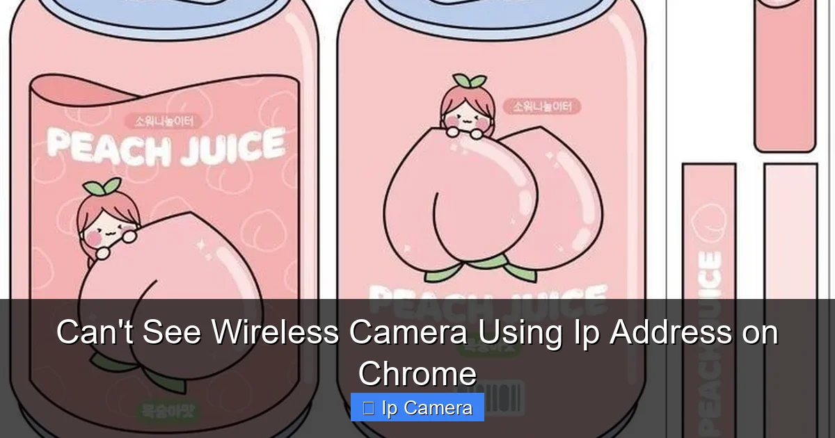 Can't See Wireless Camera Using Ip Address on Chrome